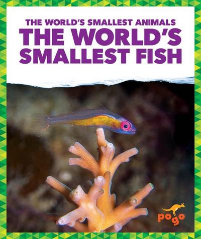 The World’s Smallest Fish
