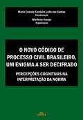 O Novo Código de Processo Civil Brasileiro, um enigma a ser decifrado