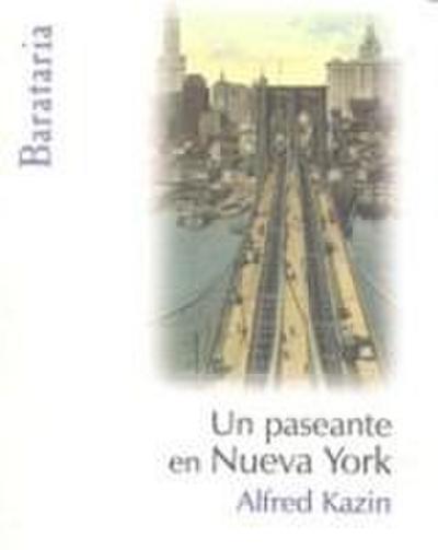Un paseante en Nueva York