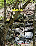 Magic