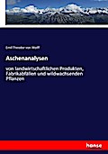 Aschenanalysen