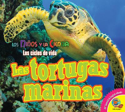 Las tortugas marinas