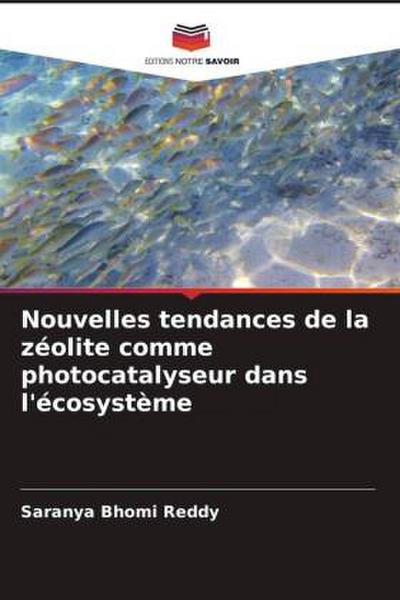Nouvelles tendances de la zéolite comme photocatalyseur dans l’écosystème