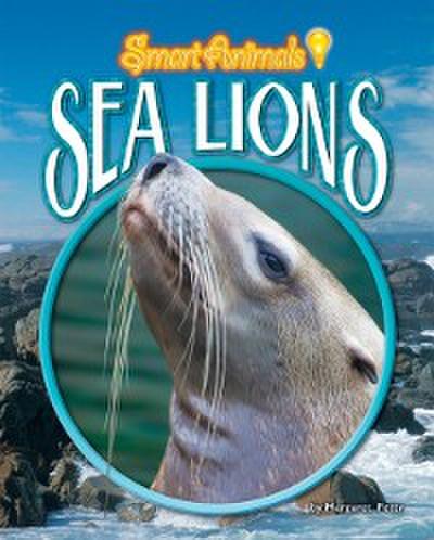 Sea Lions