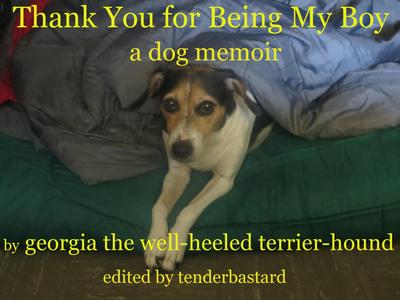 Thank You for Being My Boy - A Dog’s Memoir