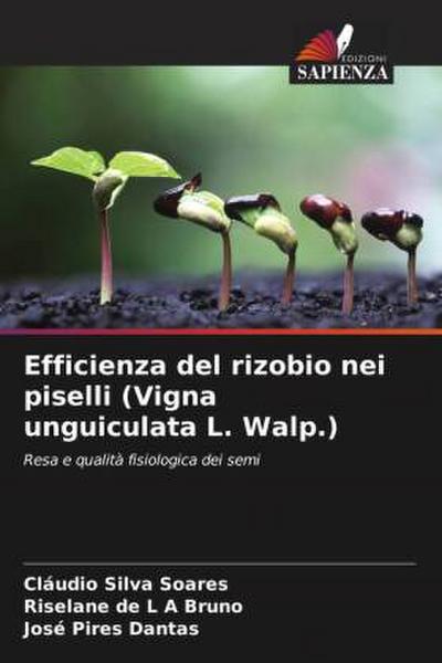 Efficienza del rizobio nei piselli (Vigna unguiculata L. Walp.)