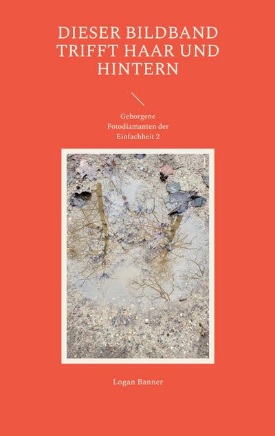 Dieser Bildband trifft Haar und Hintern