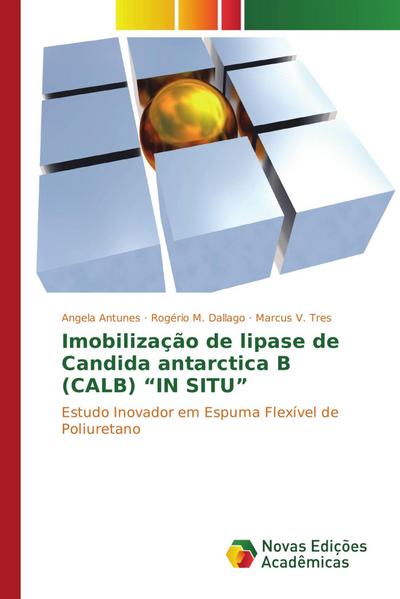 Imobilização de lipase de Candida antarctica B (CALB) "IN SITU"