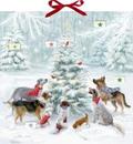 Weihnachten auf vier Pfoten