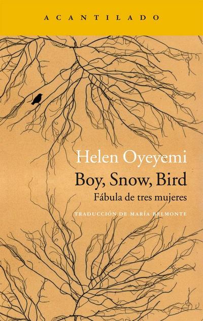 Boy, snow, bird