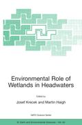 Environmental Role of Wetlands in Headwaters