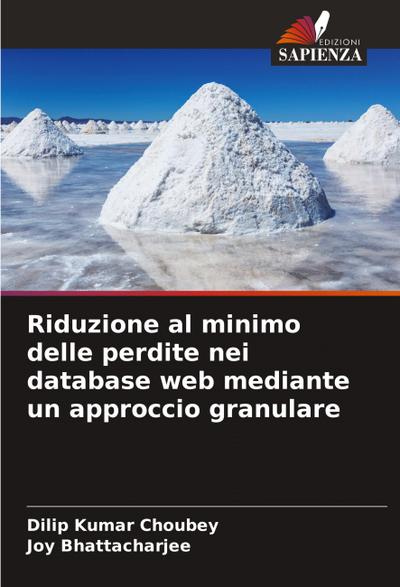 Riduzione al minimo delle perdite nei database web mediante un approccio granulare