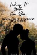 Faking It With The Boss: Book Three