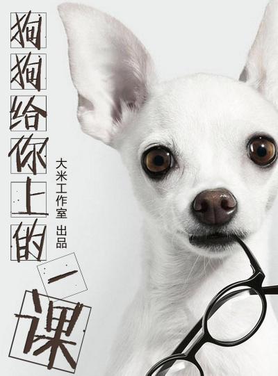 twenty tips to work efficiently  (Chinese Edition)