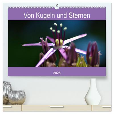 Von Kugeln und Sternen (hochwertiger Premium Wandkalender 2025 DIN A2 quer), Kunstdruck in Hochglanz