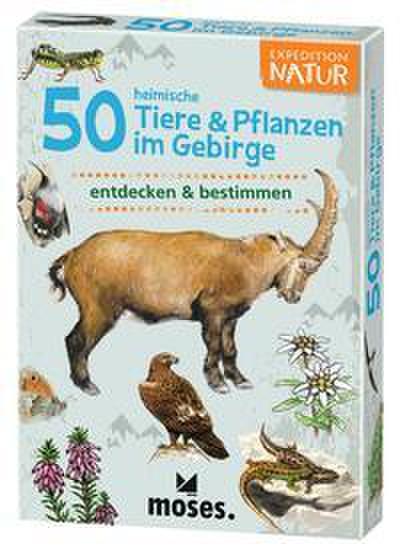 50 heimische Tiere & Pflanzen im Gebirge