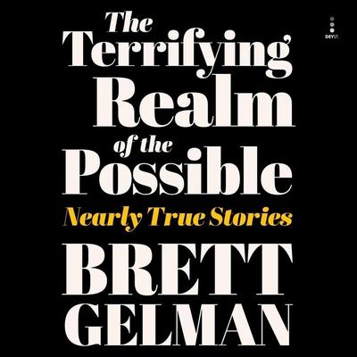 Gelman, B: Terrifying Realm of the Possible