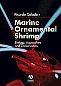 Marine Ornamental Shrimp