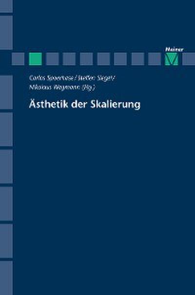 Ästhetik der Skalierung