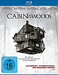 The Cabin in the Woods