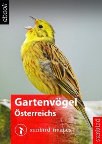 Gartenvögel Österreichs - Vögel Erkennen, Bestimmen und Schützen