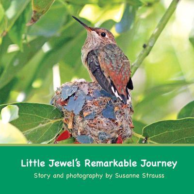 Little Jewel’s Remarkable Journey