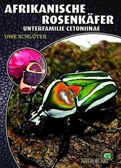 Afrikanische Rosenkäfer