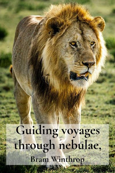 Guiding voyages through nebulae