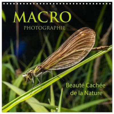 MACRO PHOTOGRAPHIE Beauté Cachée de la Nature (Calendrier mural carré 2026 30x30 cm) Calendrier double avec une page pour vos prises de notes