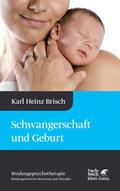 Schwangerschaft und Geburt (Bindungspsychotherapie