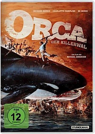 Orca der Killerwal
