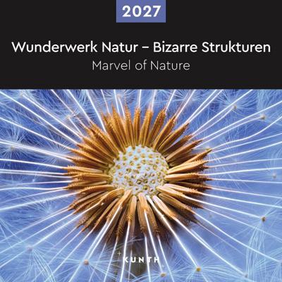 Wunderwerk Natur - Bizarre Strukturen - KUNTH Broschurkalender 2027 