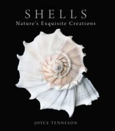 Shells