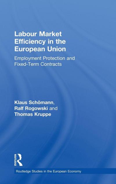Labour Market Efficiency in the European Union