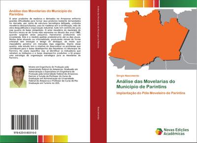 Análise das Movelarias do Município de Parintins