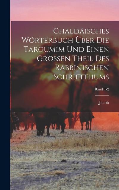 Chaldäisches Wörterbuch über die Targumim und einen grossen Theil des Rabbinischen Schriftthums; Band 1-2