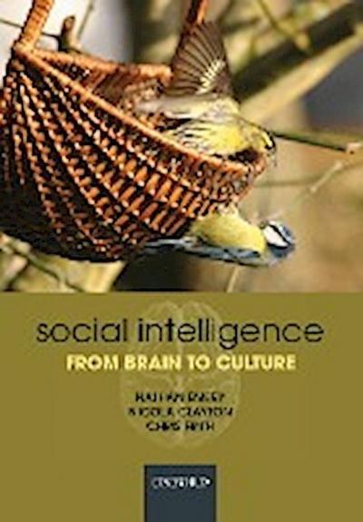 Social Intelligence from Brain to Culture