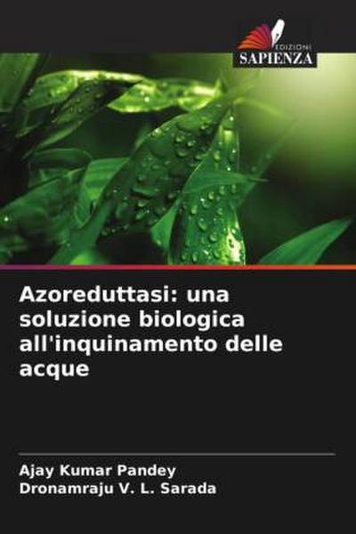 Azoreduttasi: una soluzione biologica all’inquinamento delle acque