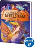 Drachenschule Nebelsturm - Der versteinerte Drache