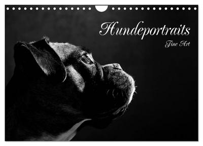Hundeportraits Fine Art (Wandkalender 2026 DIN A4 quer), CALVENDO Monatskalender