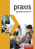 Praxis Wirtschaft und Beruf - Ausgabe 2017 für Mit