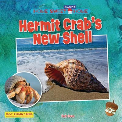 Hermit Crab’s New Shell