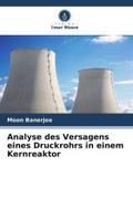 Analyse des Versagens eines Druckrohrs in einem Kernreaktor