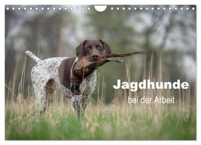 Jagdhunde bei der Arbeit (Wandkalender 2026 DIN A4 quer), CALVENDO Monatskalender