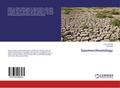 Geomorclimatology