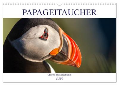 Papageitaucher: Clowns des Nordatlantik (Wandkalender 2026 DIN A3 quer), CALVENDO Monatskalender