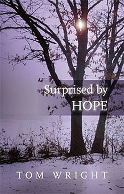 Surprised by Hope (eBook, EPUB) - Tom Wright
