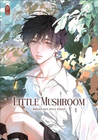Little Mushroom - wrong but still right 1