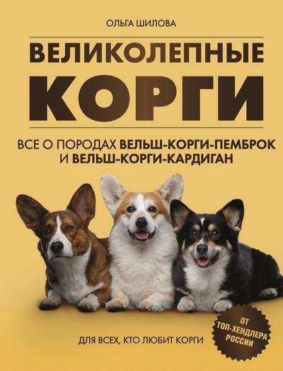 Velikolepnye korgi. Vse o porodah velshkorgipembrok i velshkorgikardigan