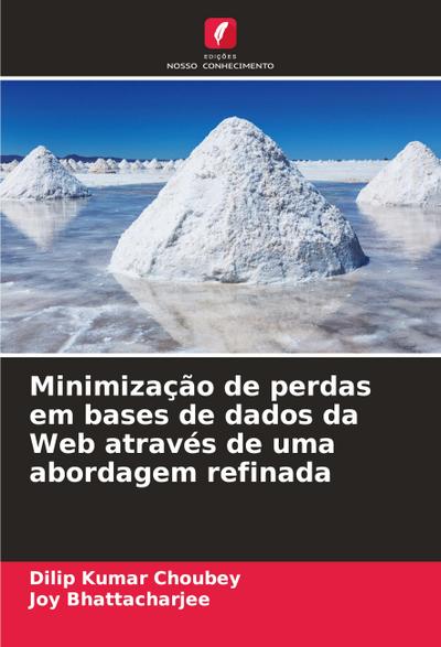 Minimização de perdas em bases de dados da Web através de uma abordagem refinada